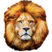 Lion 100 Piece Shaped Jigsaw Puzzle - for just $7.99! 