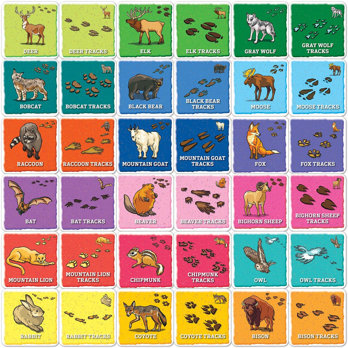 Jr Ranger - Animal Tracks Matching Game - for just $9.99! 