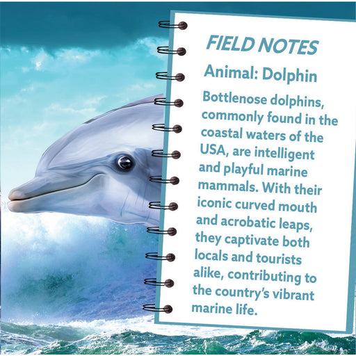 Dolphin 100 Piece Shaped Jigsaw Puzzle - Just $7.99! Shop now at Retro Gaming of Denver