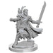 D&D Frameworks Wave 2: Male Half-Elf Ranger - Miniature - for just $14.99! 