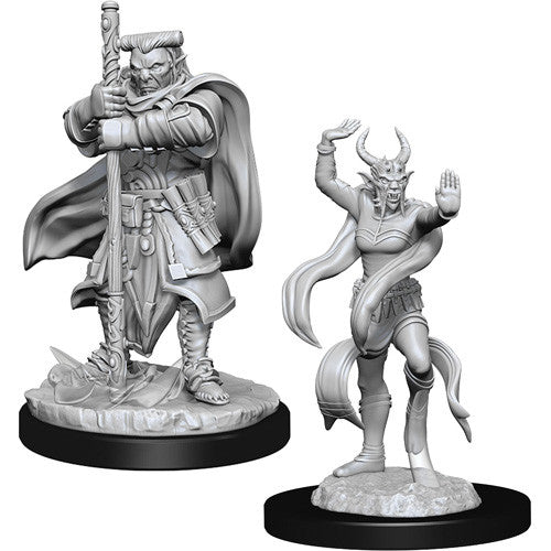 D&D Nolzur's Marvelous Miniatures: Hobgoblin Devastator & Iron Shadow - for just $5.99! 