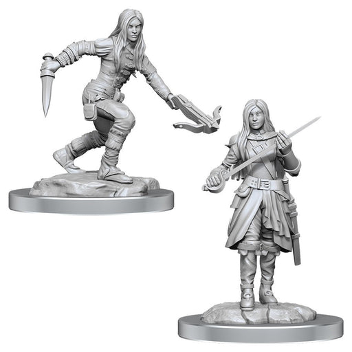 D&D: Nolzur's Marvelous Miniatures - Half-Elf Rogue Female - for just $5.99! 