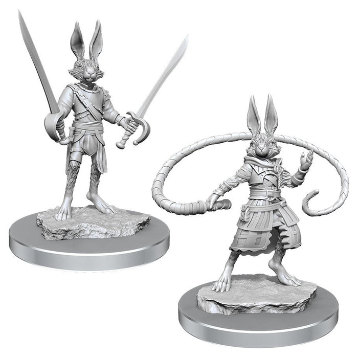 D&D: Nolzur's Marvelous Miniatures - Harengon Rogues - for just $5.99! 