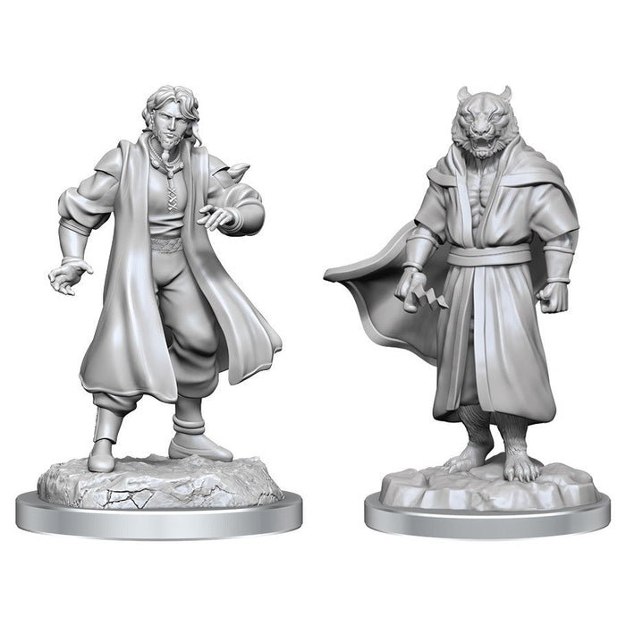 Critical Role: Male Human Sorcerer Merchant & Tiger Demon - for just $5.99! 