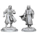 Critical Role: Male Human Sorcerer Merchant & Tiger Demon - for just $5.99! 