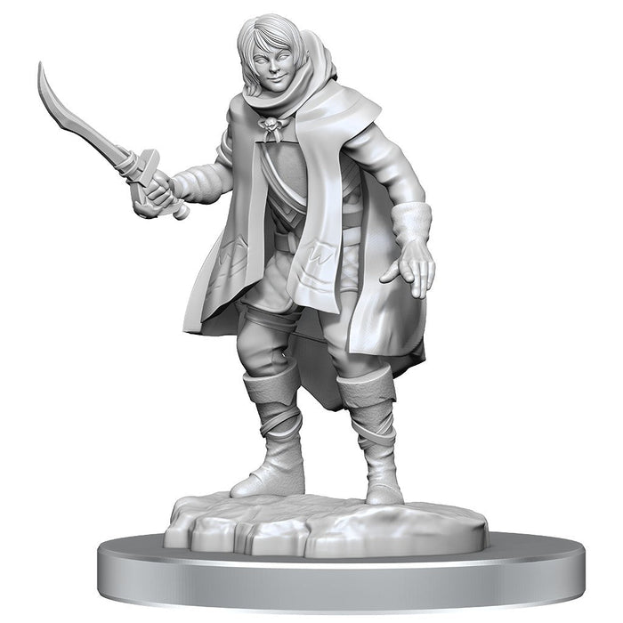 D&D Nolzur's Marvelous Miniatures: Elf Rogue & Half-Elf Rogue Protege - for just $5.99! 