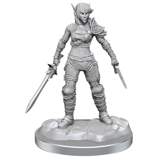 D&D Nolzur's Marvelous Miniatures: Elf Rogue & Half-Elf Rogue Protege - for just $5.99! 