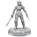 D&D Nolzur's Marvelous Miniatures: Elf Rogue & Half-Elf Rogue Protege - for just $5.99! 