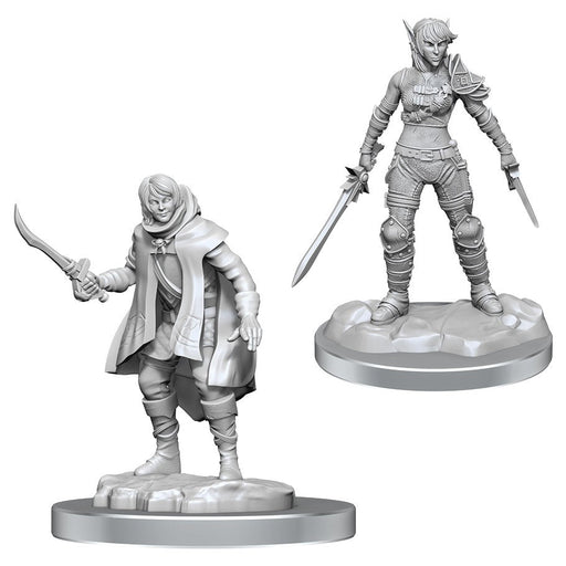 D&D: Nolzur's Marvelous Miniatures - Elf Rogue & Half-Elf Rogue Protégé - for just $5.99! 