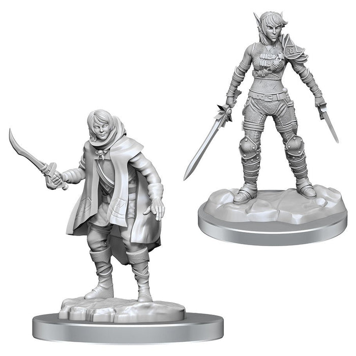 D&D: Nolzur's Marvelous Miniatures - Elf Rogue & Half-Elf Rogue Protégé - for just $5.99! 