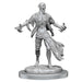D&D Nolzur's Marvelous Miniatures: Nosferatu - for just $5.99! 