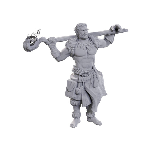 D&D Nolzur's Marvelous Miniatures: Archdruid & Martial Arts Adept - for just $5.99! 