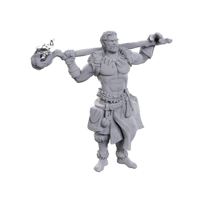 D&D Nolzur's Marvelous Miniatures: Archdruid & Martial Arts Adept - for just $5.99! 