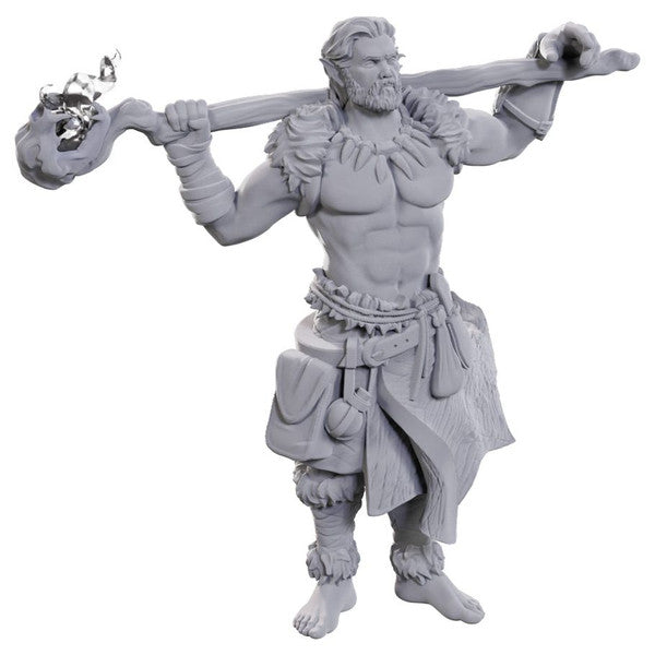 D&D: Nolzur's Marvelous Miniatures - Archdruid & Martial Arts Adept - for just $5.99! 