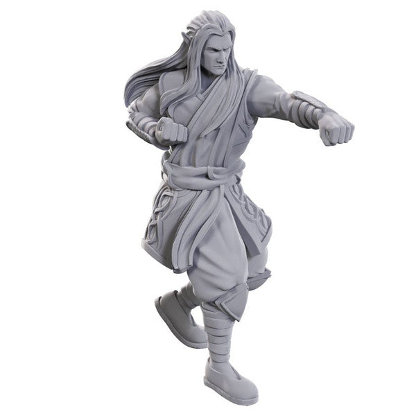 D&D: Nolzur's Marvelous Miniatures - Archdruid & Martial Arts Adept - for just $5.99! 