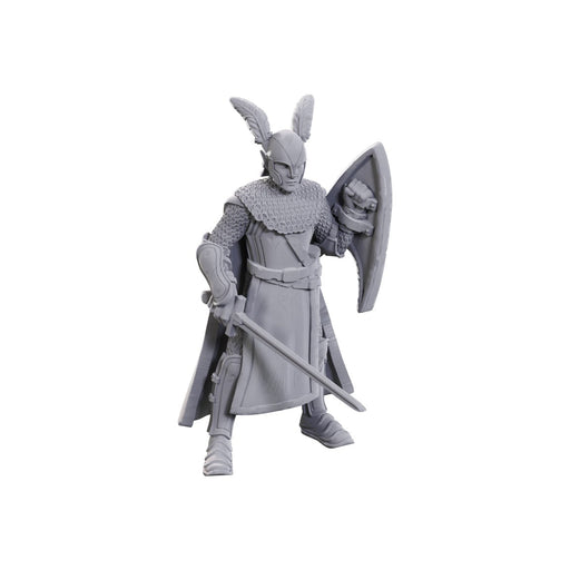D&D Nolzur's Marvelous Miniatures: Elves - Limited Edition 50th Anniversary - for just $7.99! 