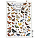 Butterflies of North America 1000 Piece Jigsaw Puzzle - for just $16.99! 