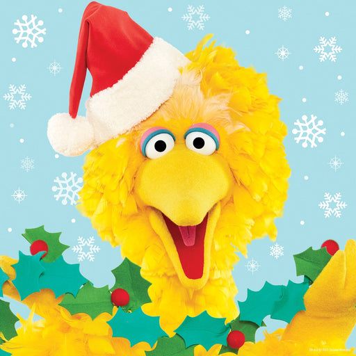 Sesame Street Holiday - Big Bird 25 Piece Jigsaw Puzzle - Just $7.99! Shop now at Retro Gaming of Denver