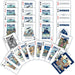 Dallas Cowboys Fan Deck Playing Cards - 54 Card Deck - for just $7.99! 
