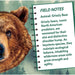 Grizzly Bear 100 Piece Shaped Jigsaw Puzzle - for just $7.99! 
