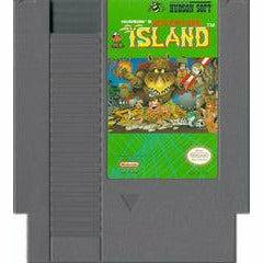 Adventure Island - NES (LOOSE) - Premium Video Games - Just $14.99! Shop now at Retro Gaming of Denver