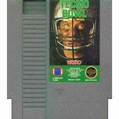 Tecmo Bowl - NES - Premium Video Games - Just $12.99! Shop now at Retro Gaming of Denver